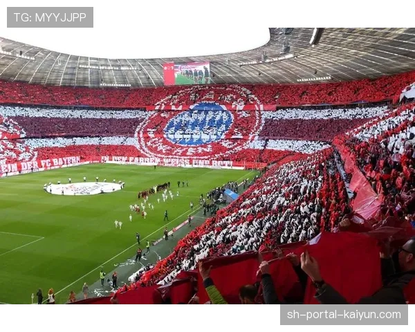 安联球场将启用新型草皮加热与排水系统,以应对慕尼黑多雨春季 安联球场将启用新型草皮加热与排水系统,以应对慕尼黑多雨春季